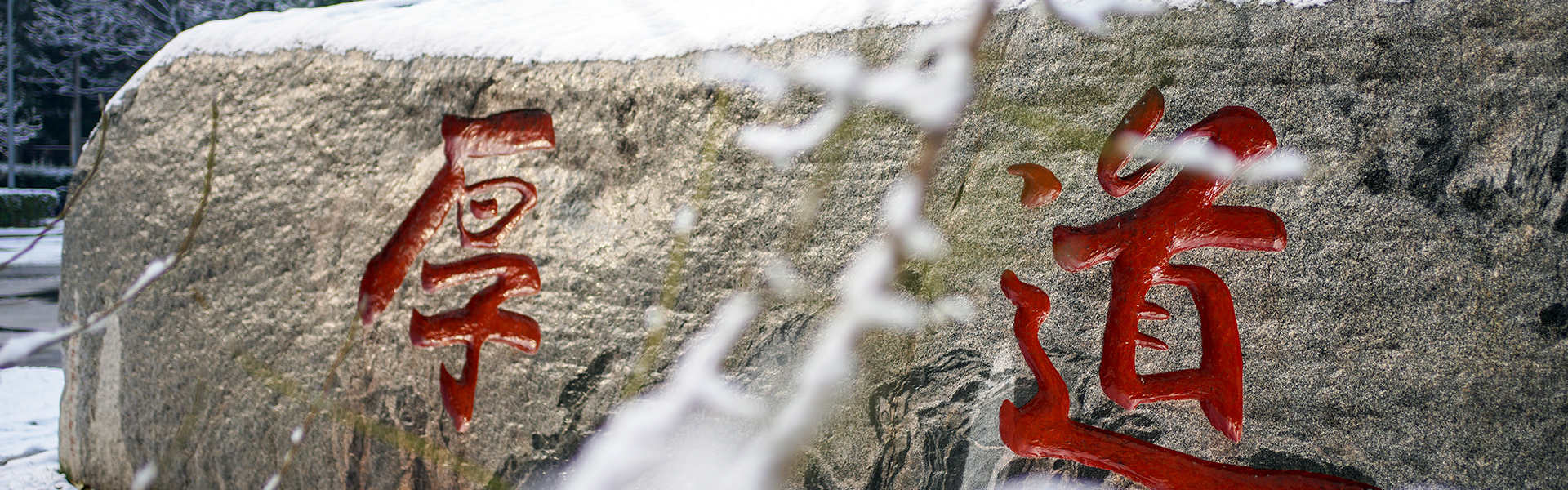 平博·(pinnacle)官方网站