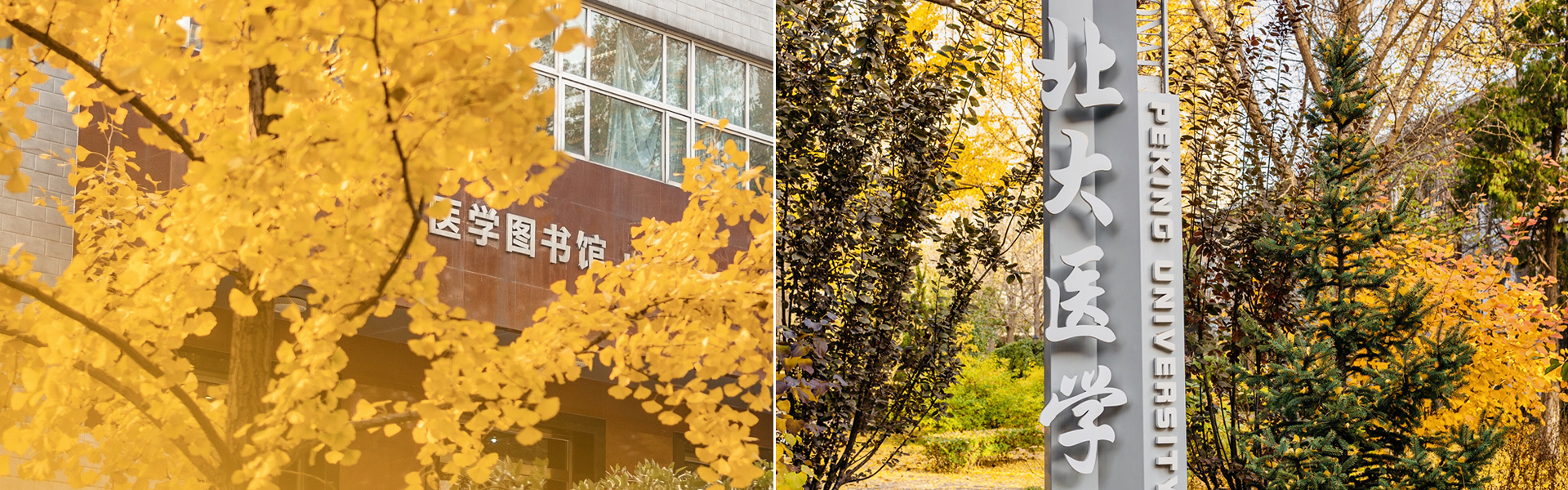 平博·(pinnacle)官方网站