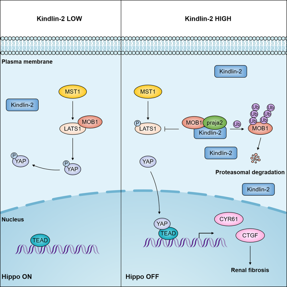 平博·(pinnacle)官方网站