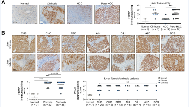 平博·(pinnacle)官方网站