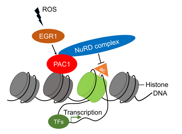 平博·(pinnacle)官方网站