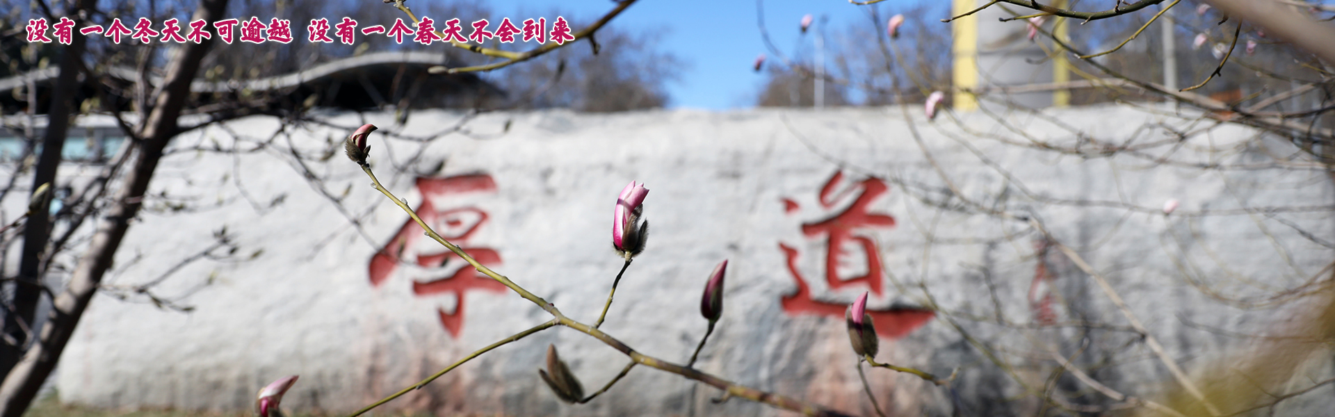 平博·(pinnacle)官方网站