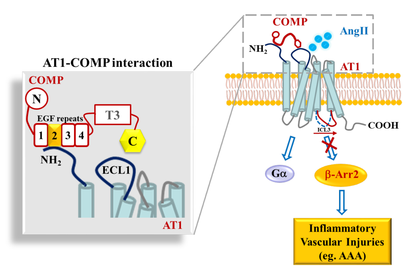 平博·(pinnacle)官方网站
