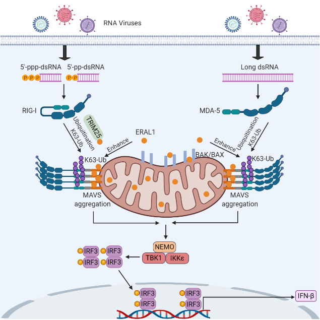 平博·(pinnacle)官方网站
