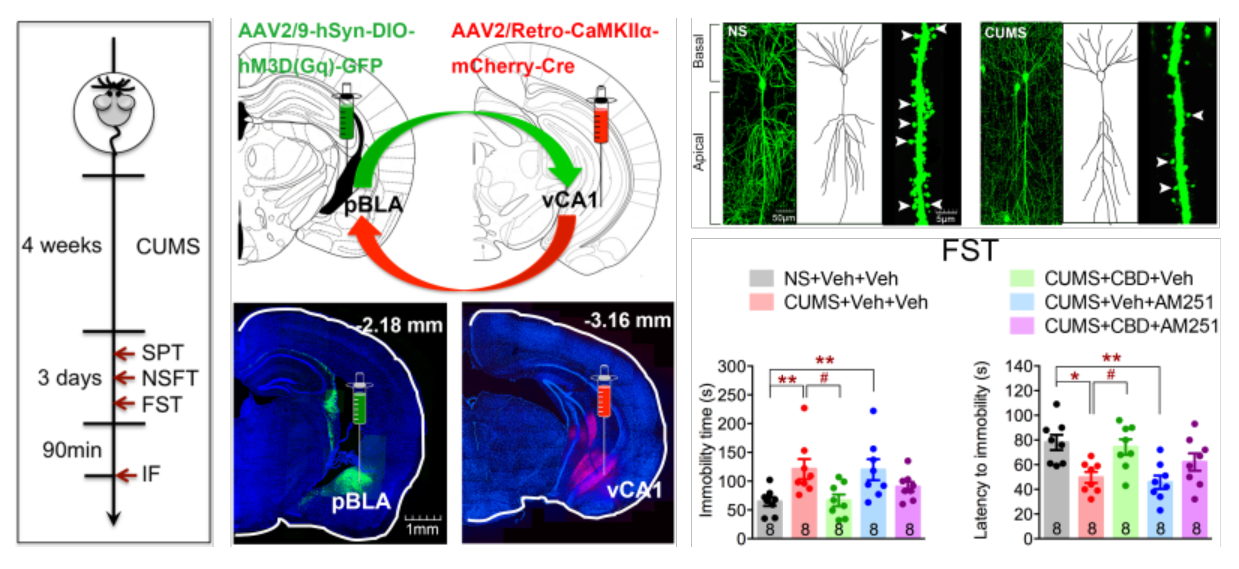 平博·(pinnacle)官方网站