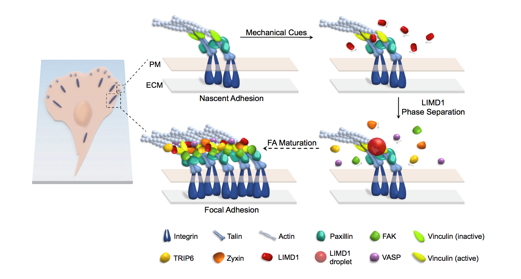 平博·(pinnacle)官方网站