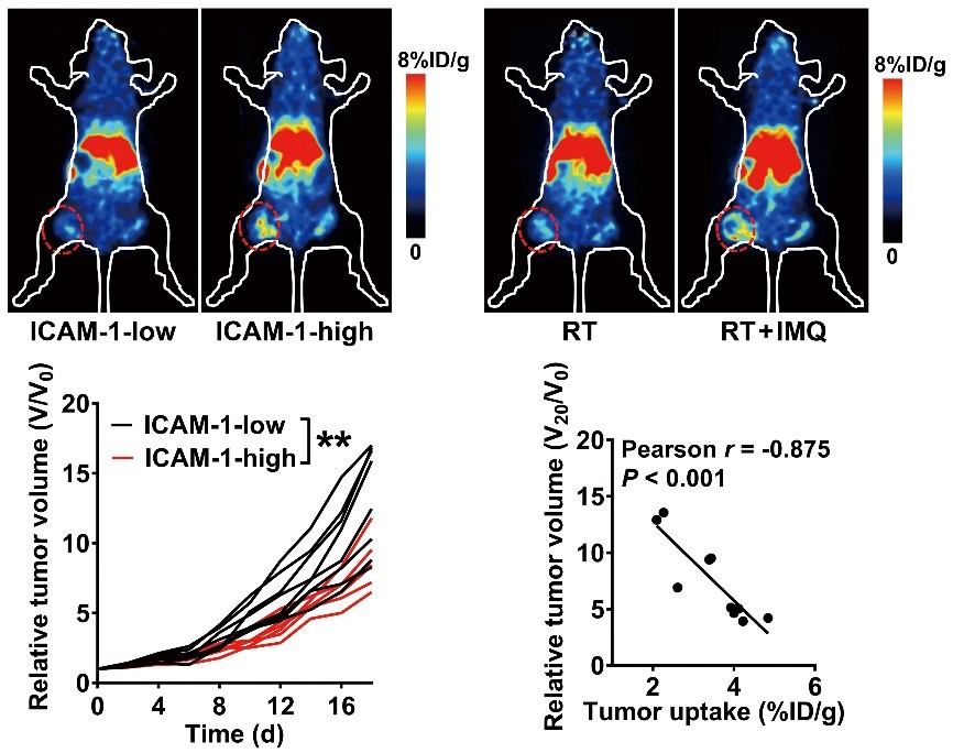 平博·(pinnacle)官方网站