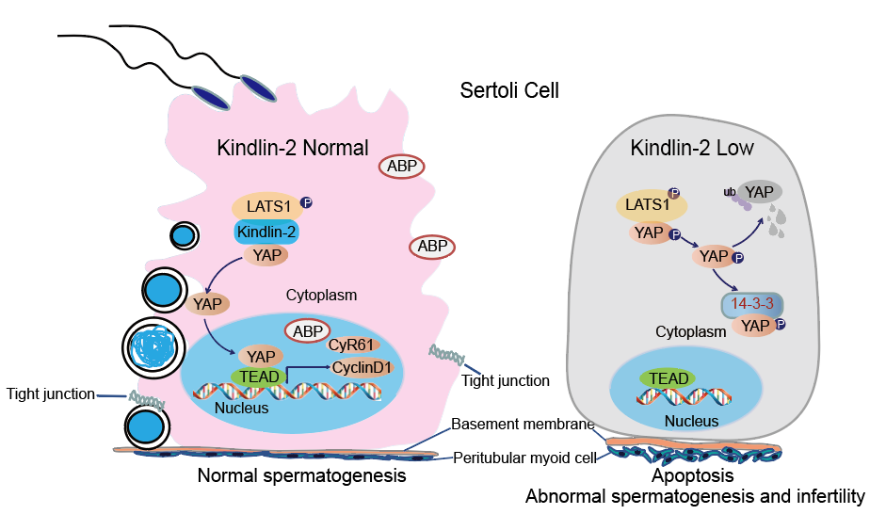 平博·(pinnacle)官方网站