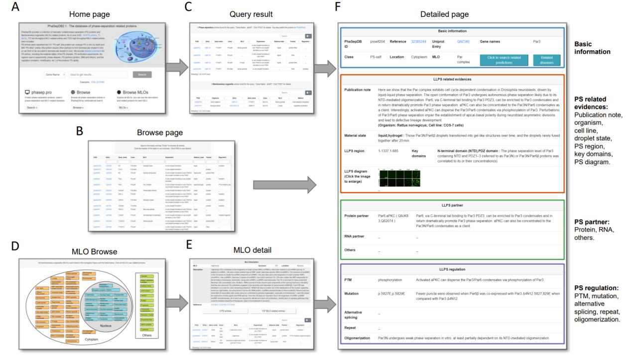 平博·(pinnacle)官方网站