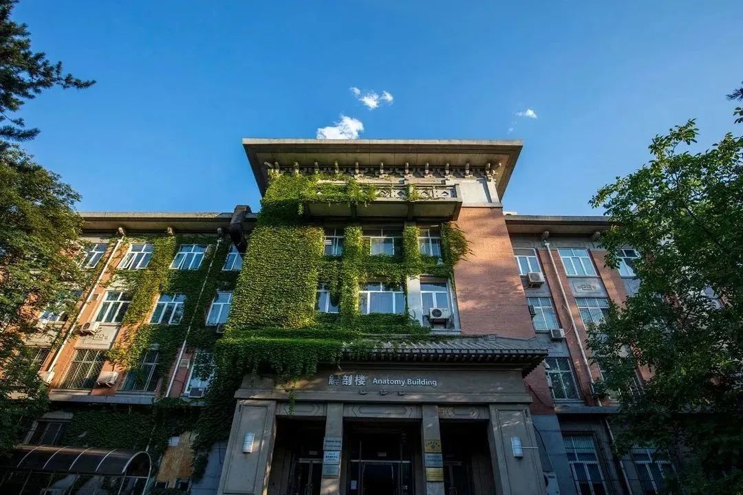 平博·(pinnacle)官方网站