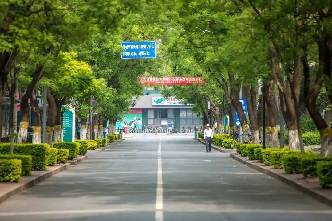 平博·(pinnacle)官方网站