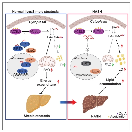 平博·(pinnacle)官方网站