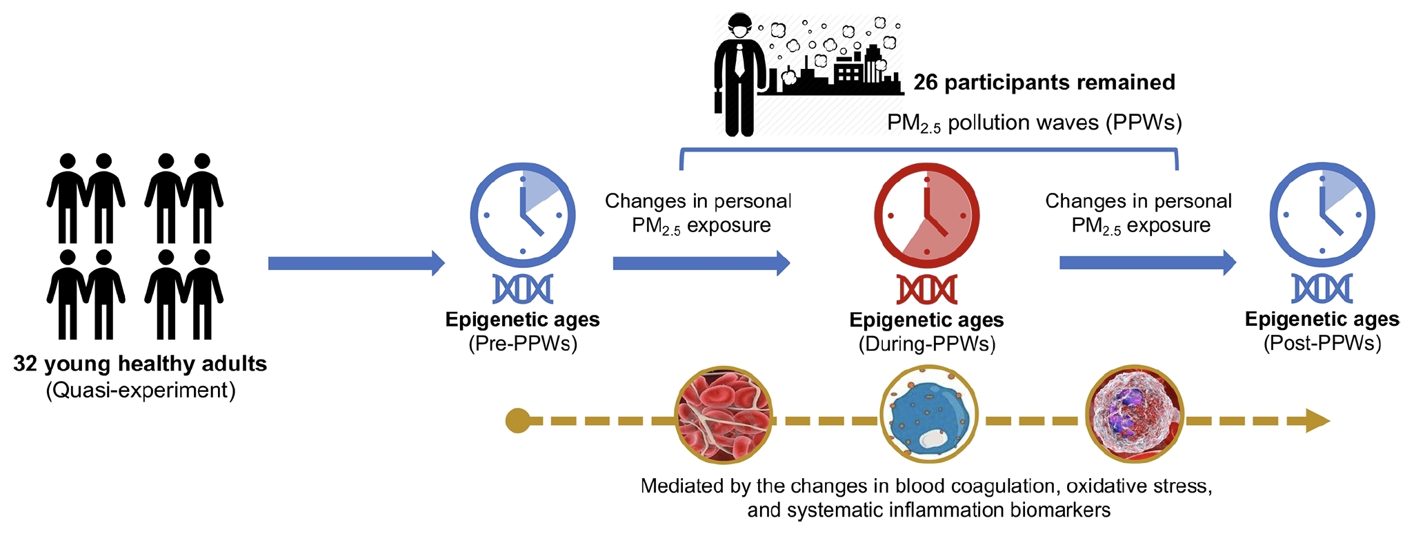 平博·(pinnacle)官方网站