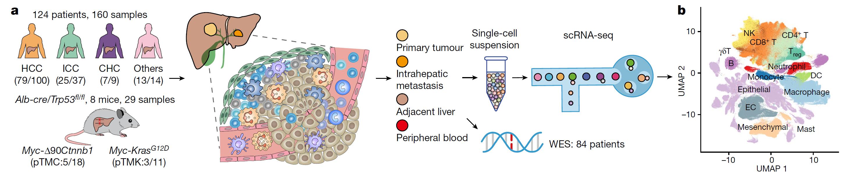 平博·(pinnacle)官方网站