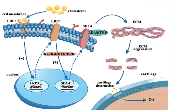 平博·(pinnacle)官方网站