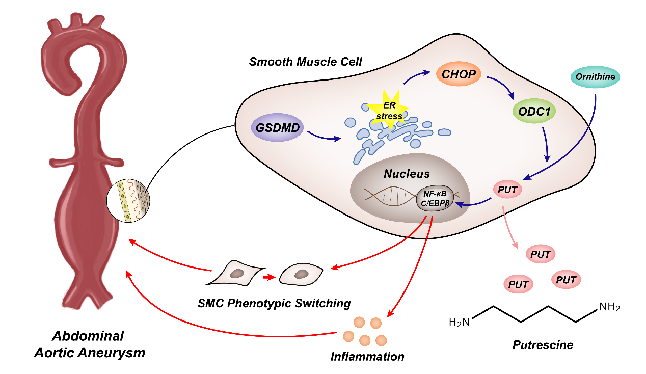 平博·(pinnacle)官方网站