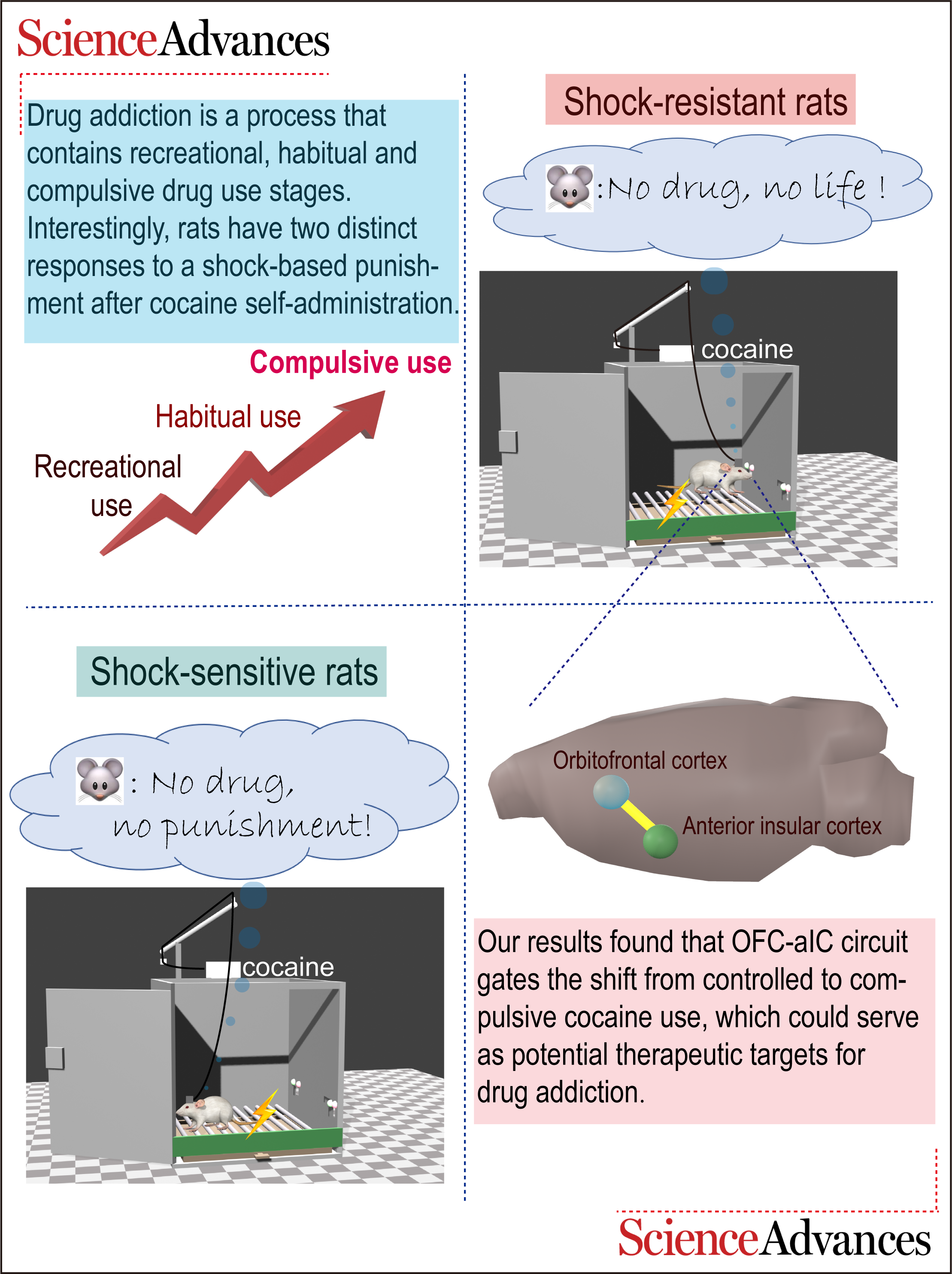 平博·(pinnacle)官方网站