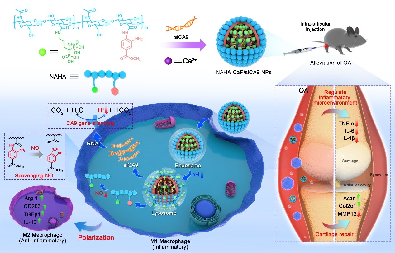 平博·(pinnacle)官方网站