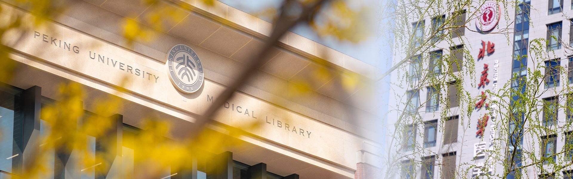 平博·(pinnacle)官方网站