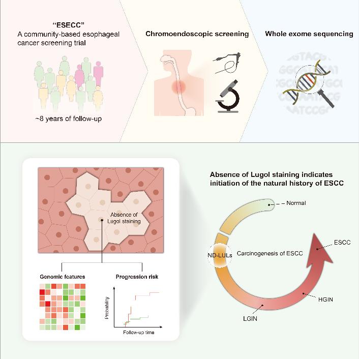 平博·(pinnacle)官方网站