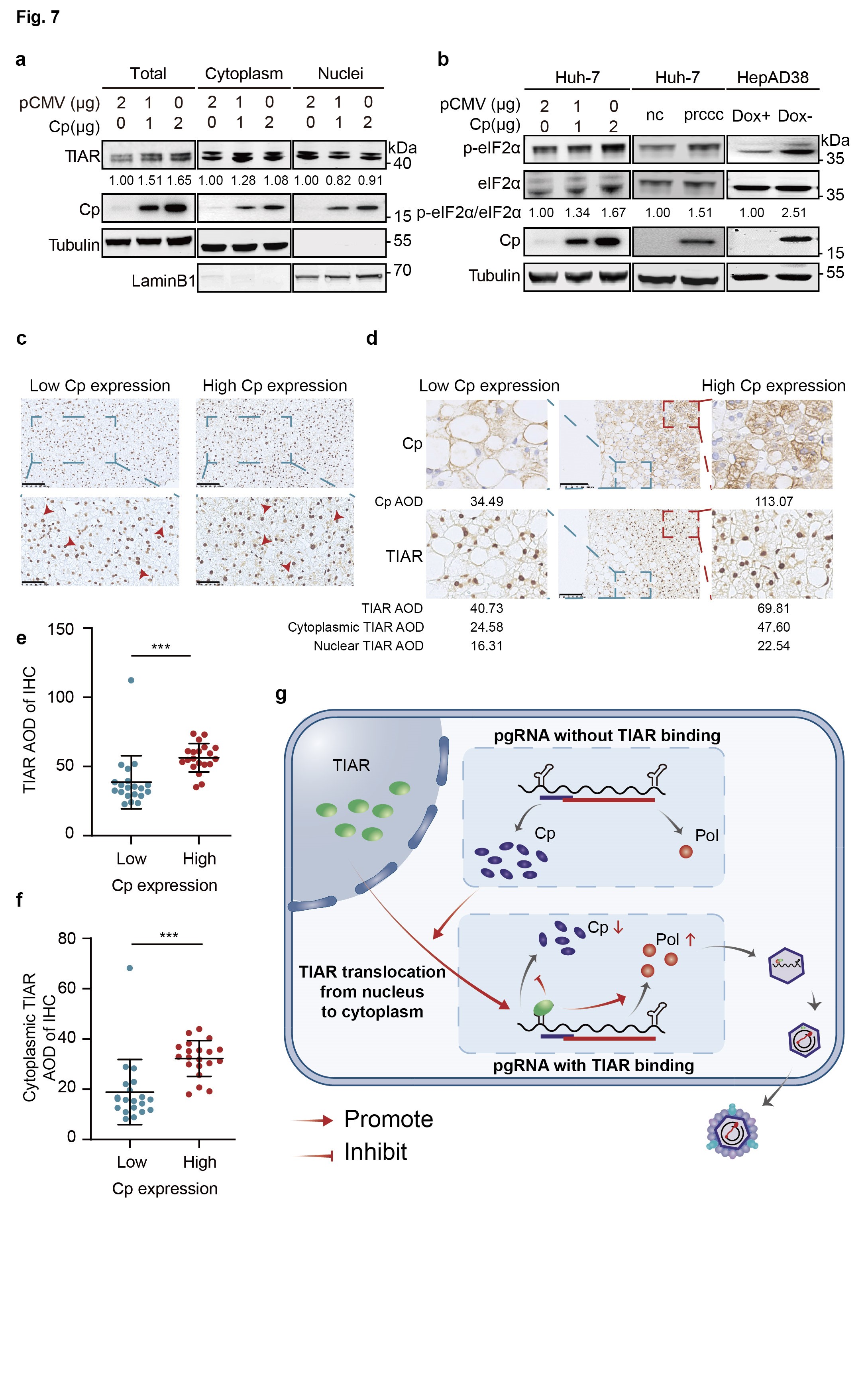 平博·(pinnacle)官方网站