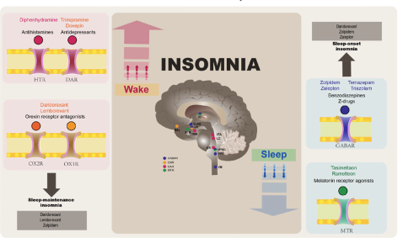 平博·(pinnacle)官方网站