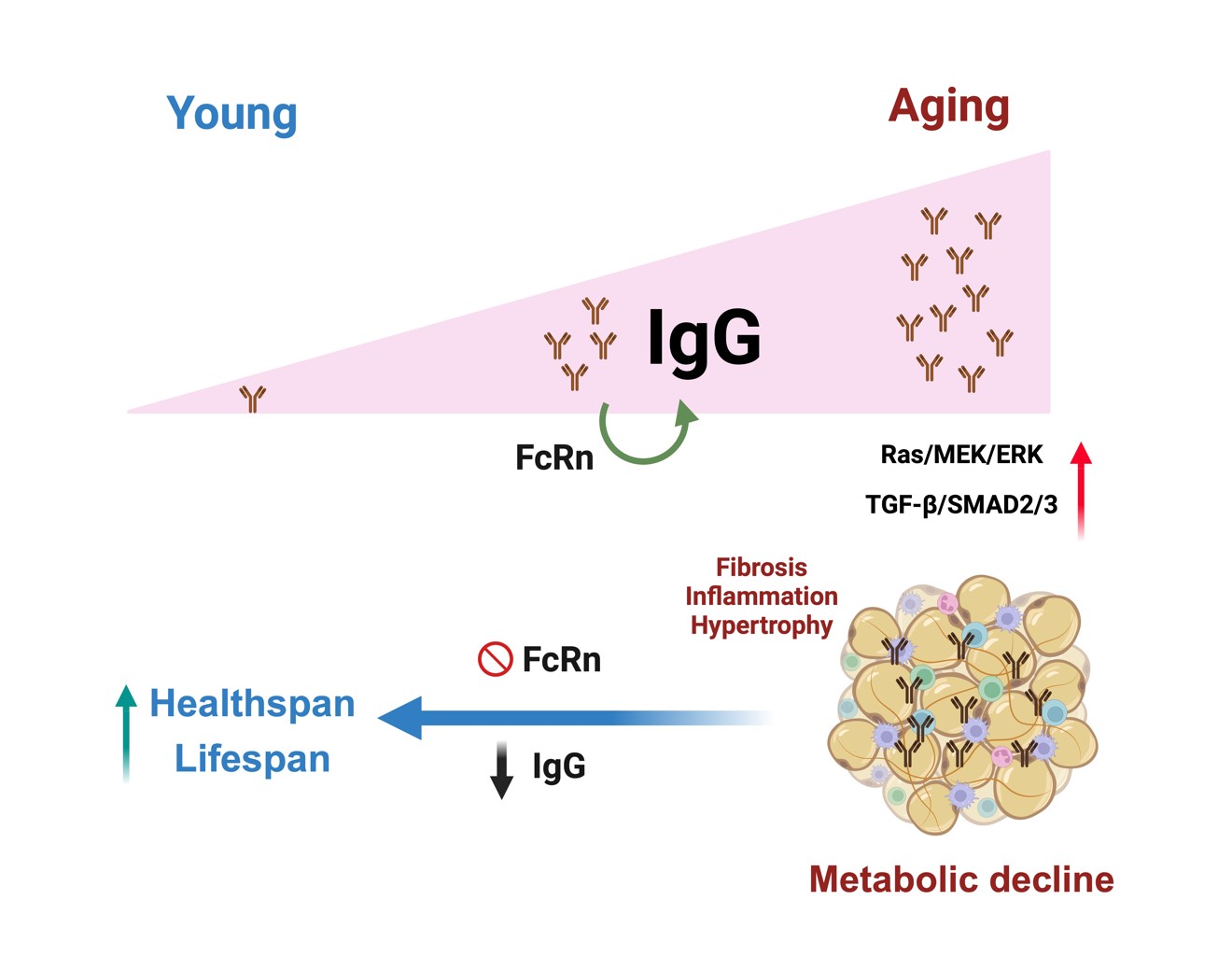 平博·(pinnacle)官方网站