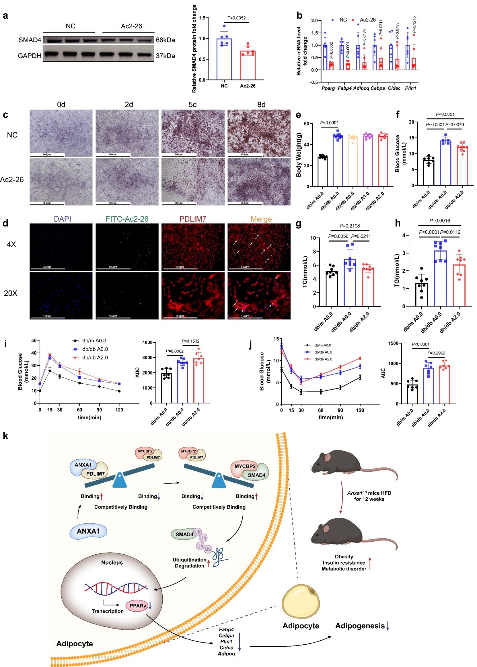 平博·(pinnacle)官方网站