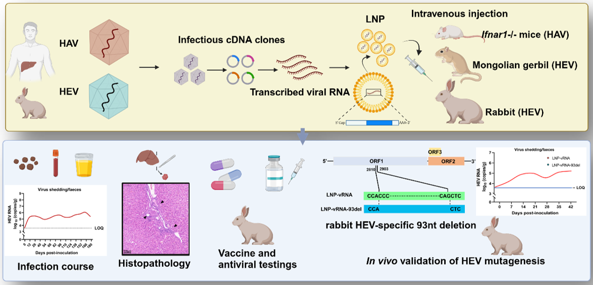 平博·(pinnacle)官方网站