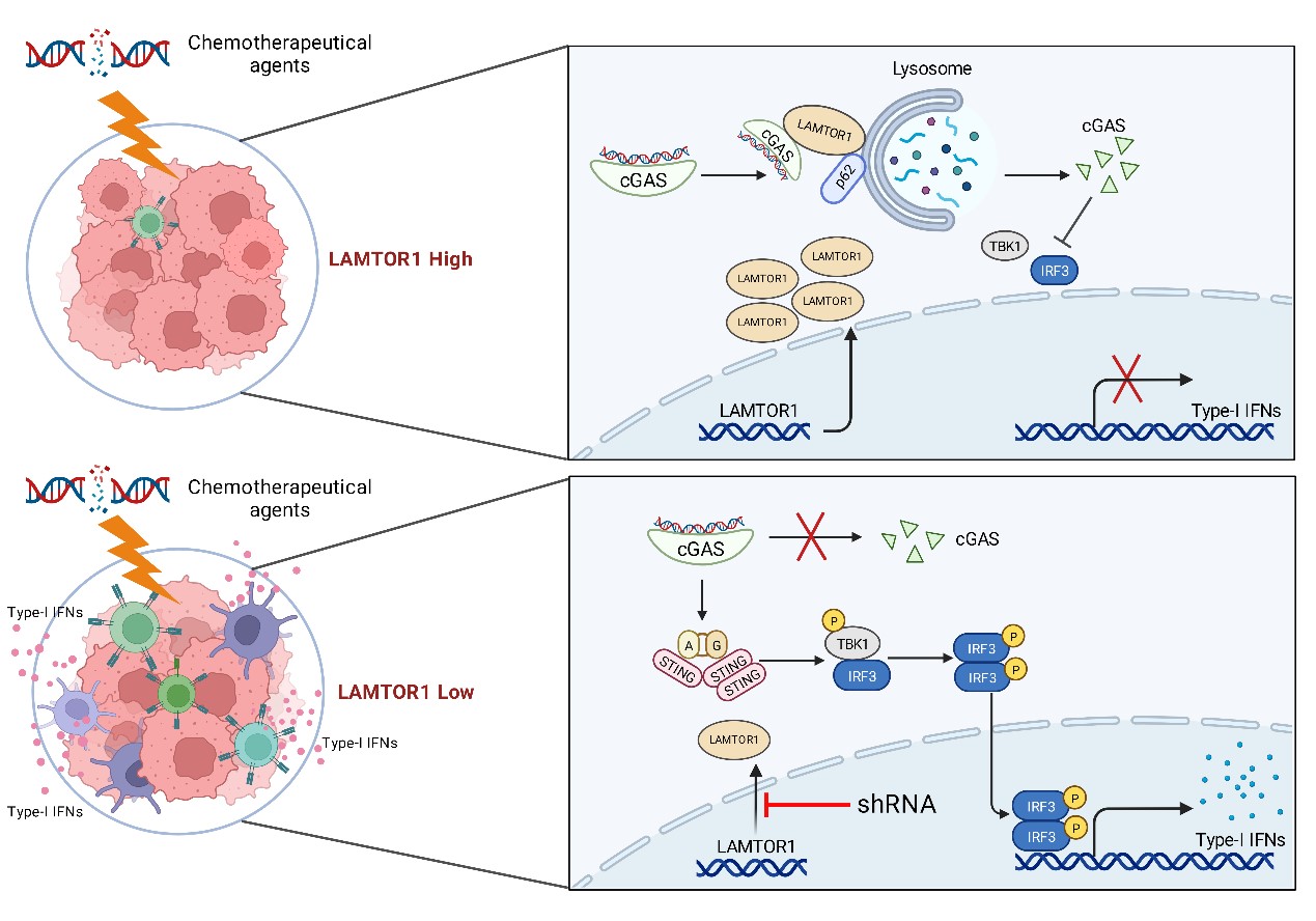 平博·(pinnacle)官方网站