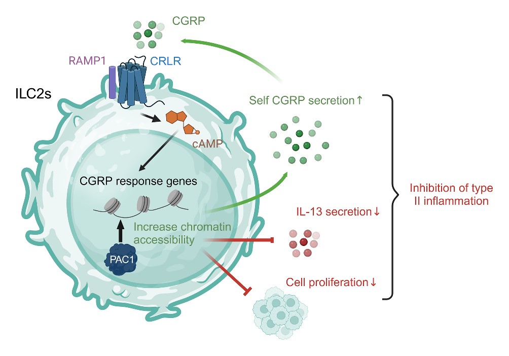平博·(pinnacle)官方网站
