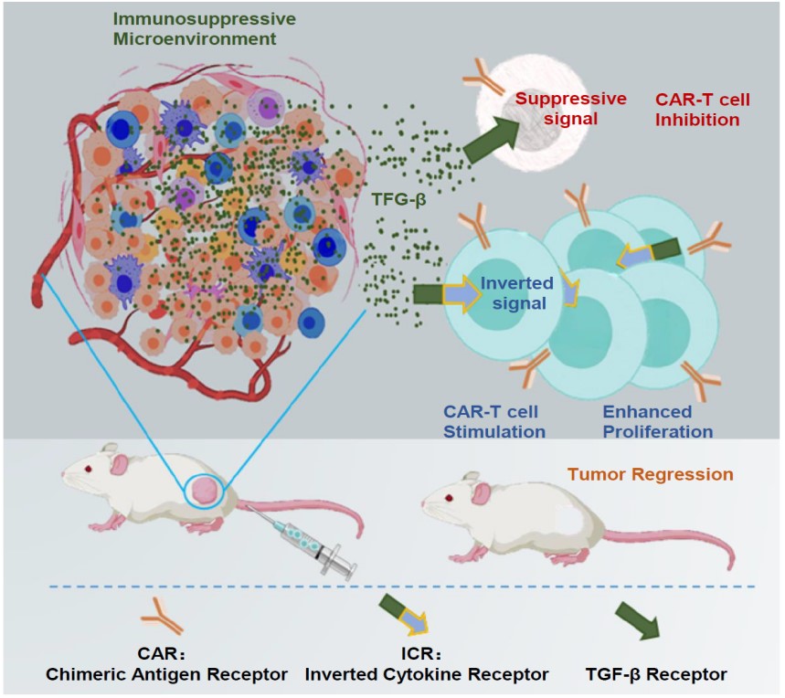 平博·(pinnacle)官方网站