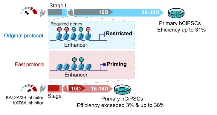 平博·(pinnacle)官方网站