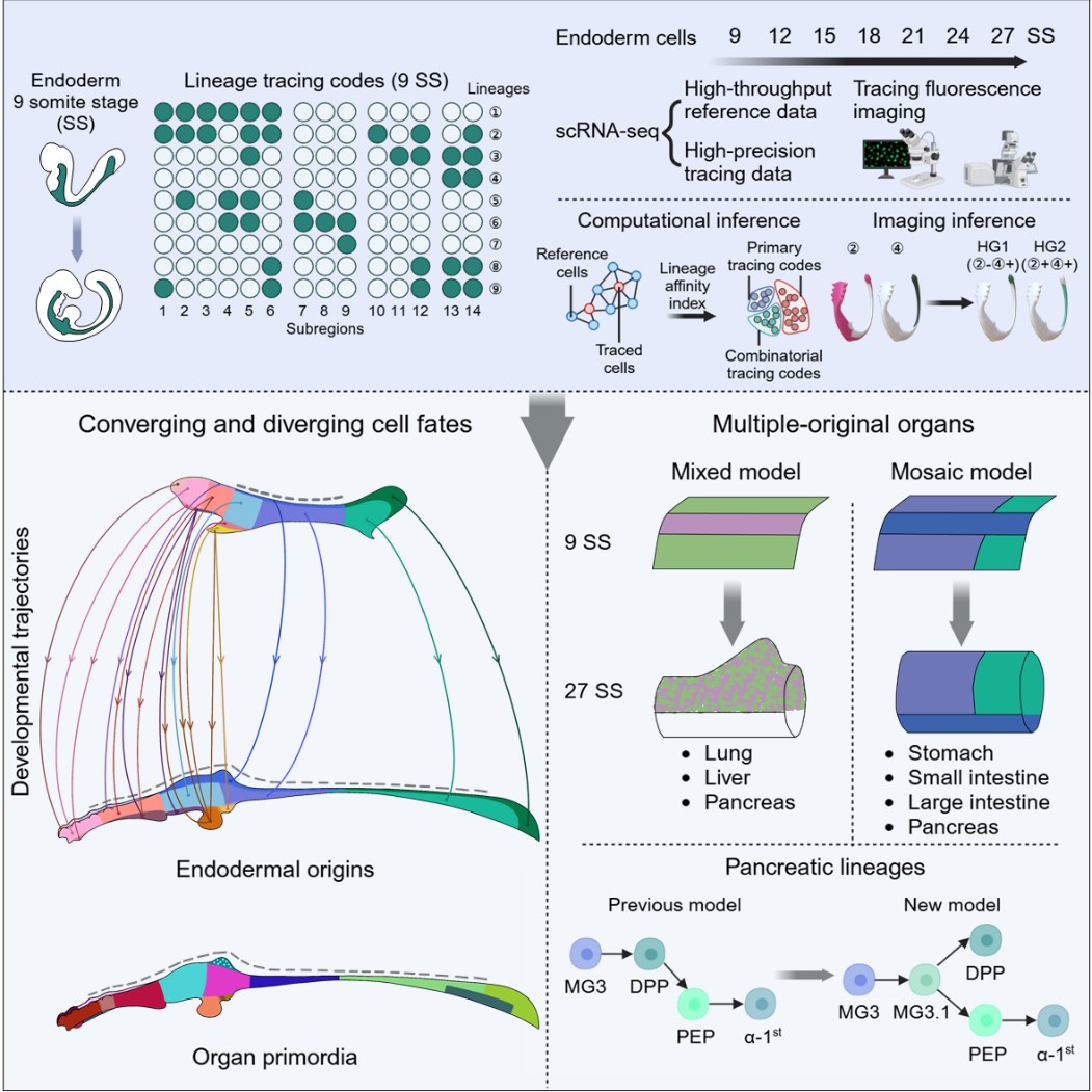 平博·(pinnacle)官方网站