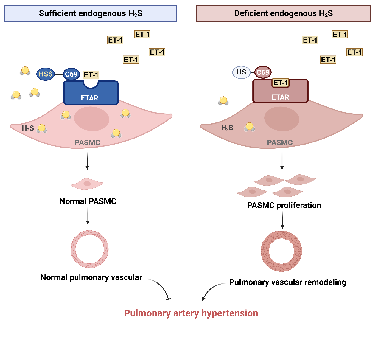 平博·(pinnacle)官方网站