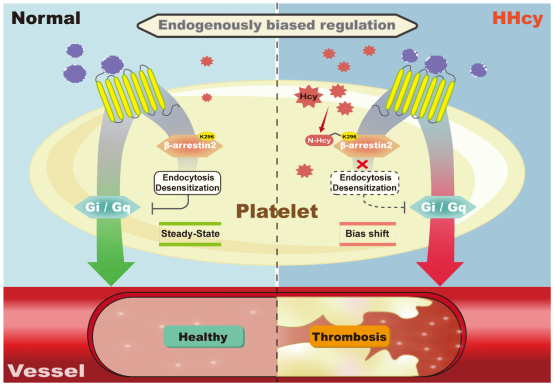 平博·(pinnacle)官方网站