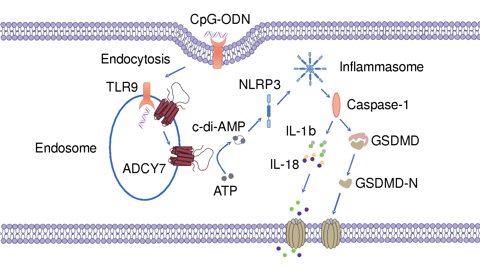 平博·(pinnacle)官方网站