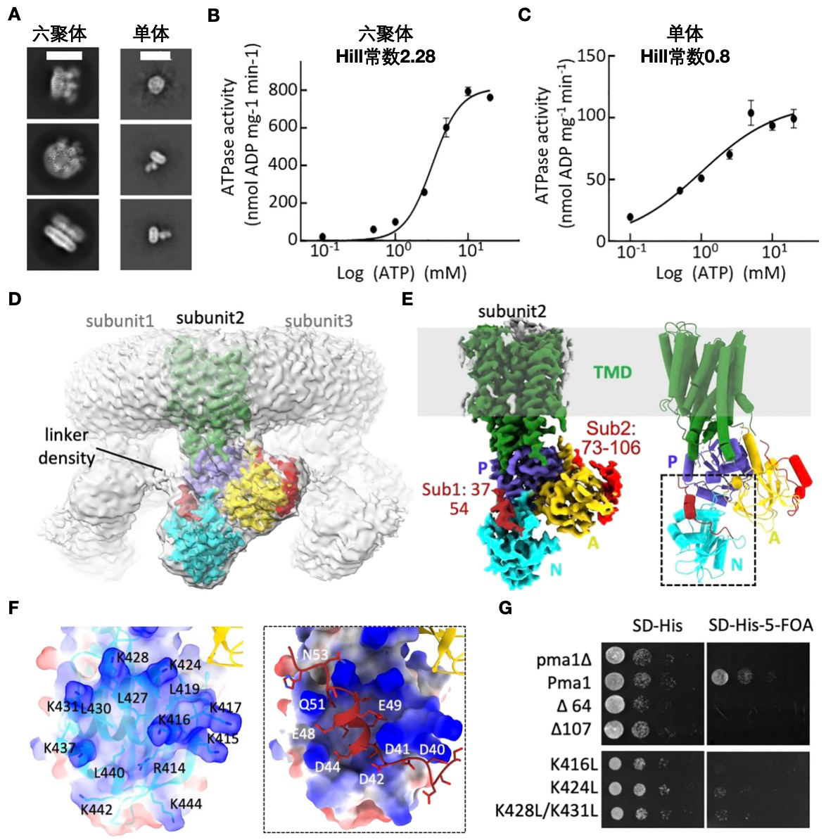平博·(pinnacle)官方网站