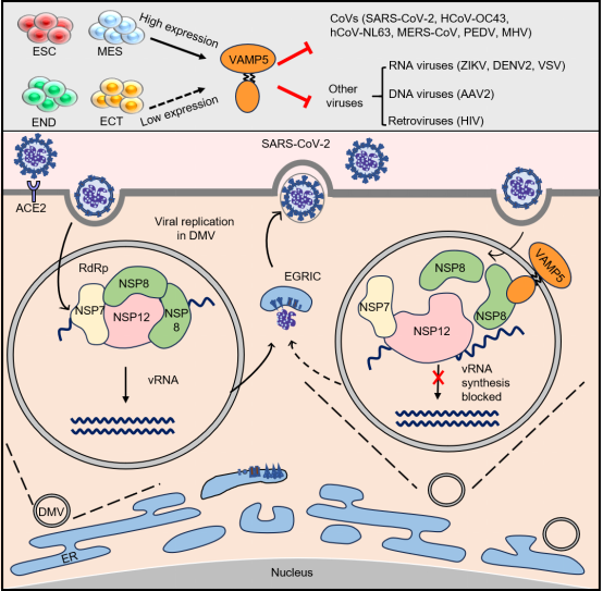 平博·(pinnacle)官方网站