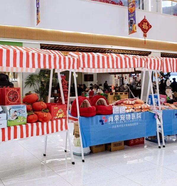 Z6���������й������ٷ���վ