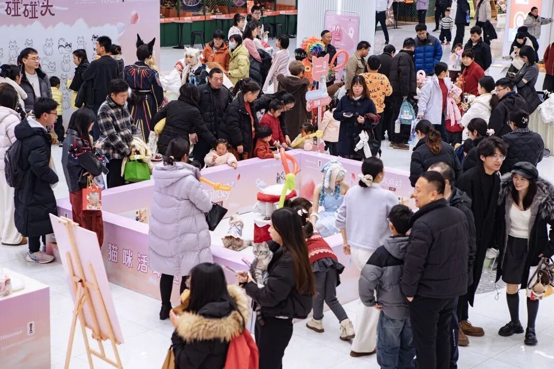 Z6���������й������ٷ���վ