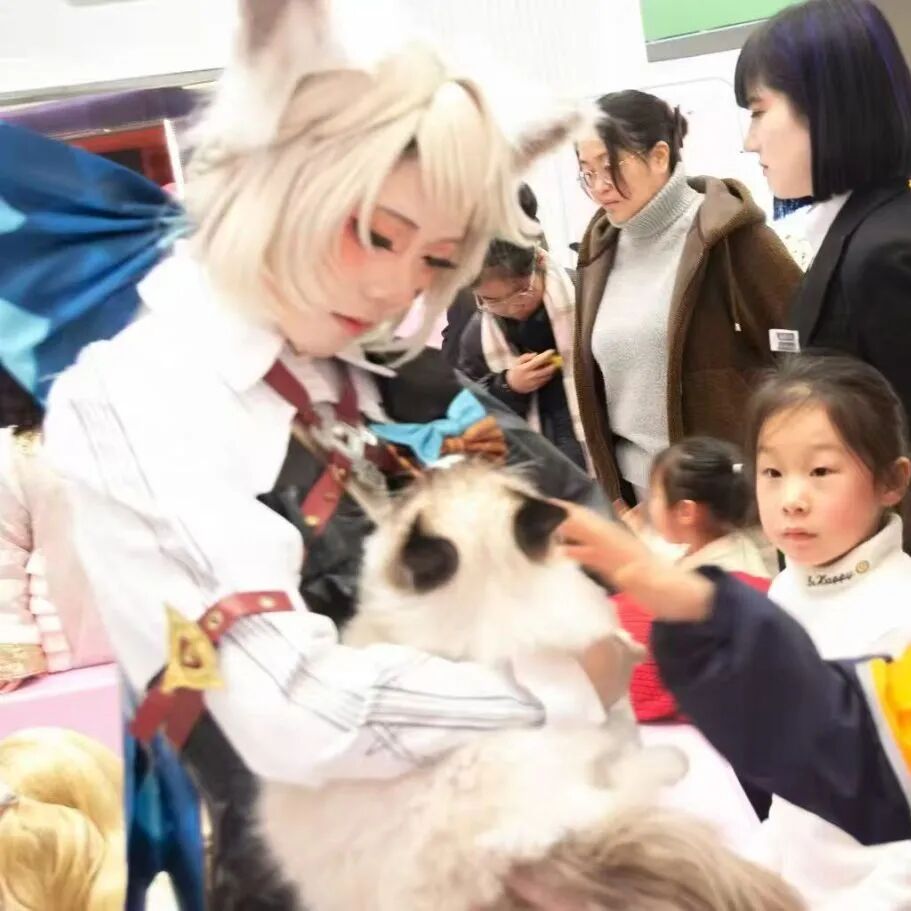 Z6���������й������ٷ���վ