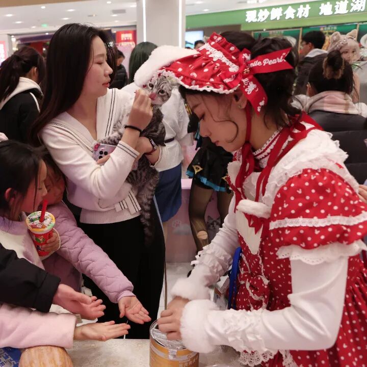 Z6���������й������ٷ���վ