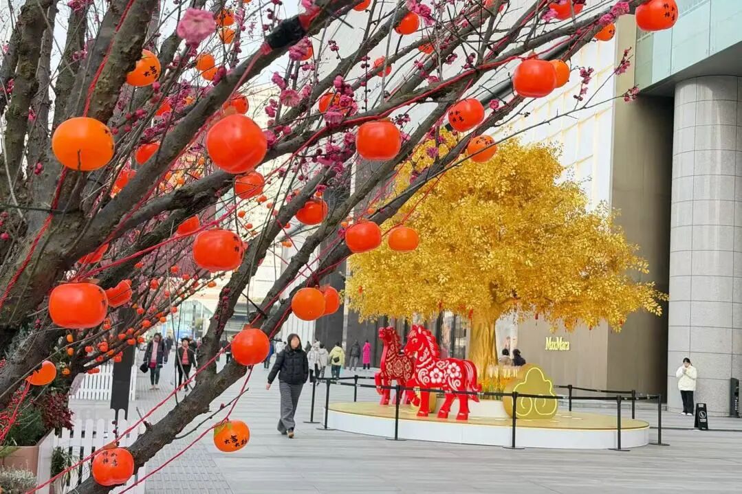 Z6���������й������ٷ���վ