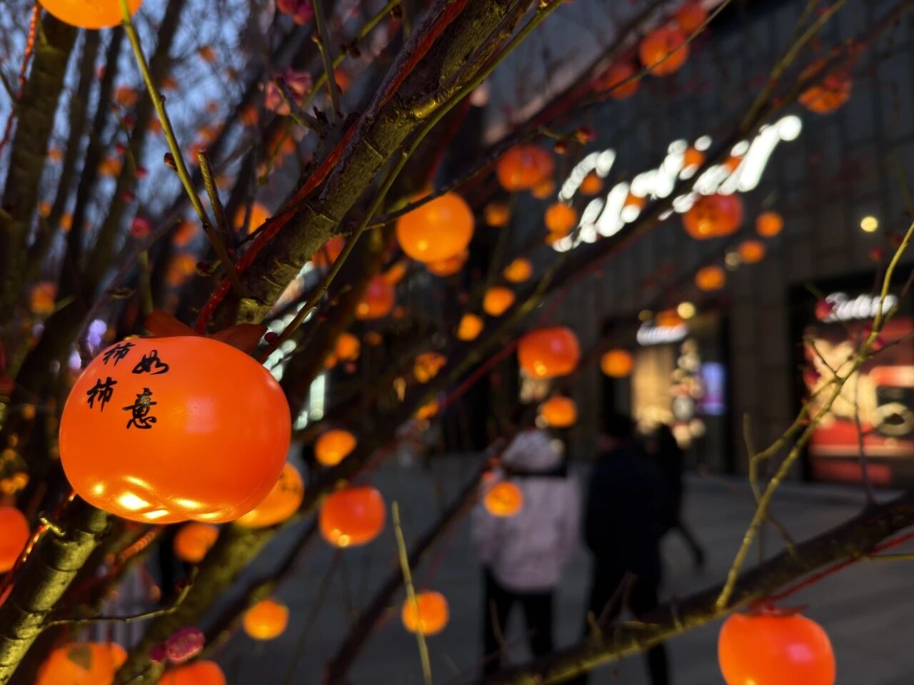 Z6���������й������ٷ���վ