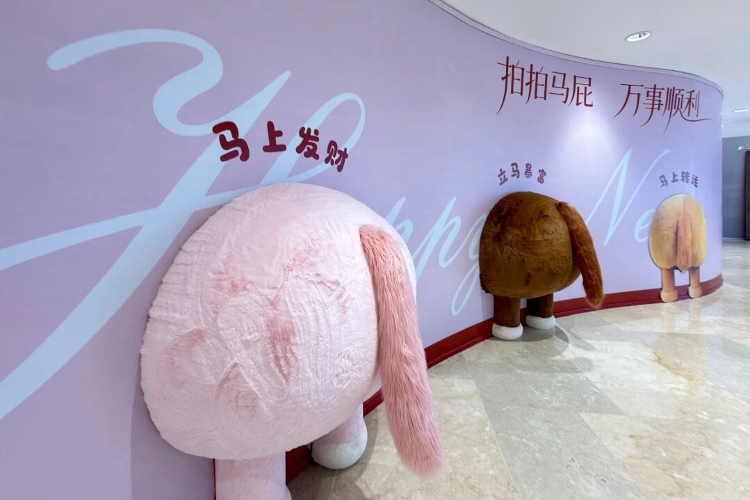 Z6���������й������ٷ���վ