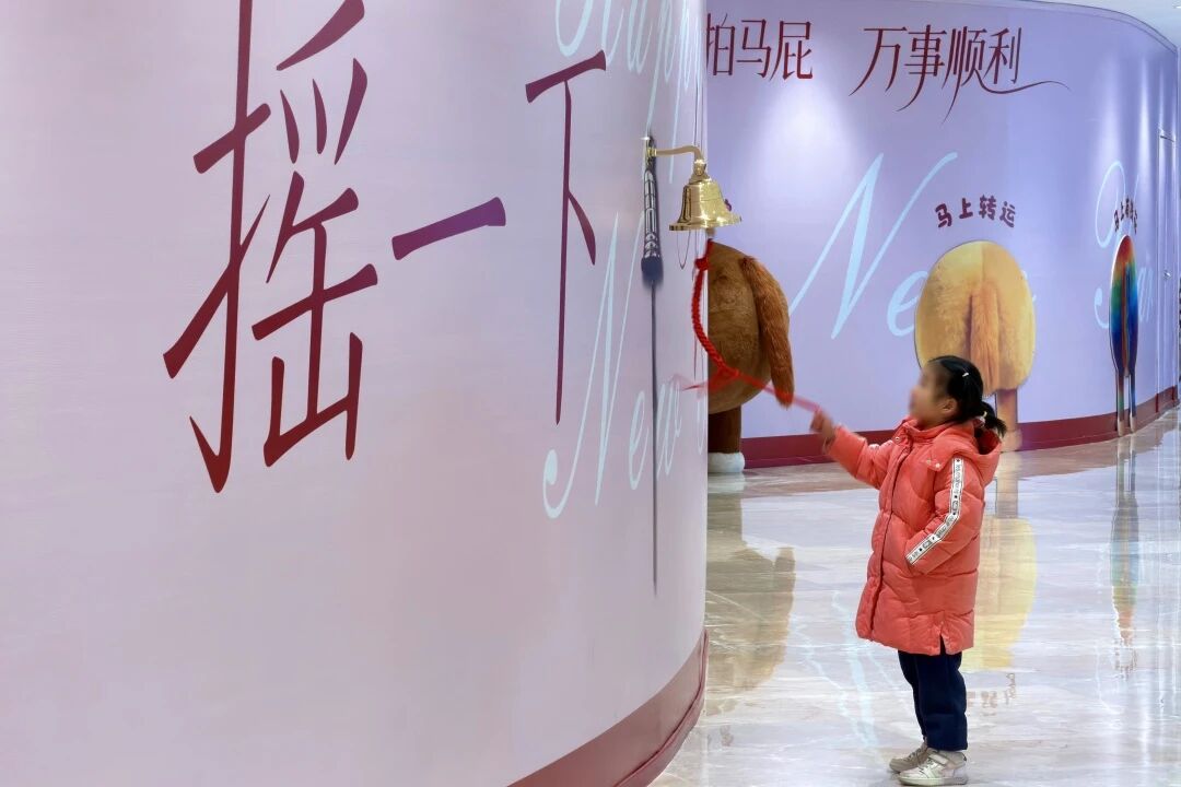 Z6���������й������ٷ���վ