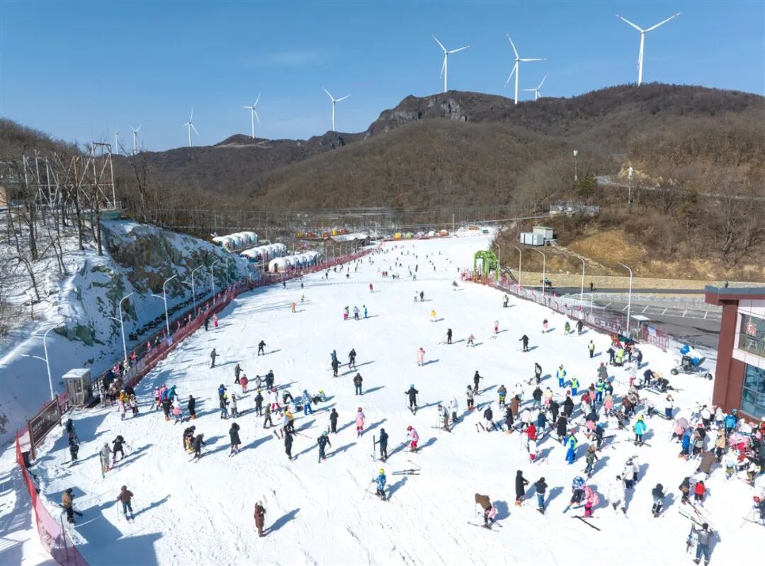 Z6���������й������ٷ���վ