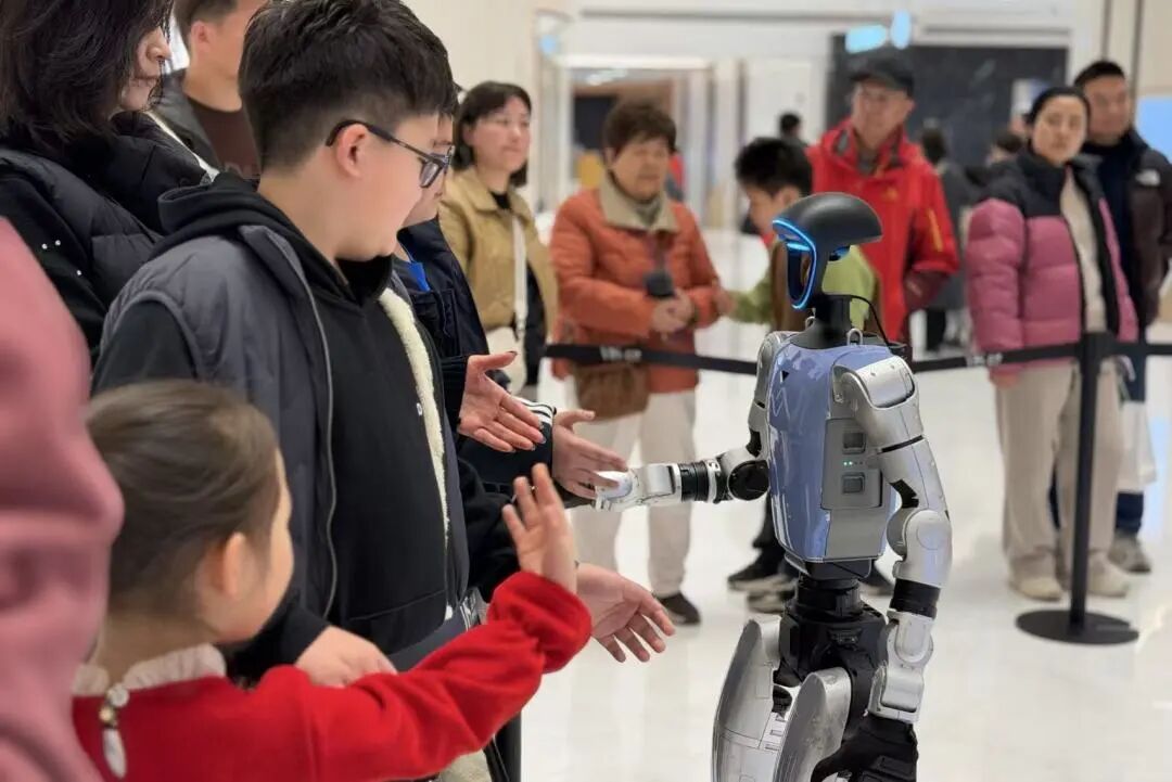 Z6���������й������ٷ���վ