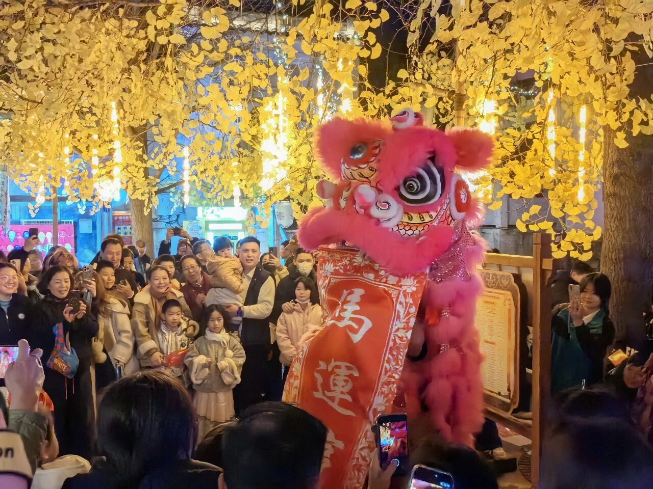 Z6���������й������ٷ���վ